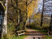 Herbstimpression vom Chiemseeweg von Prien nach Felden